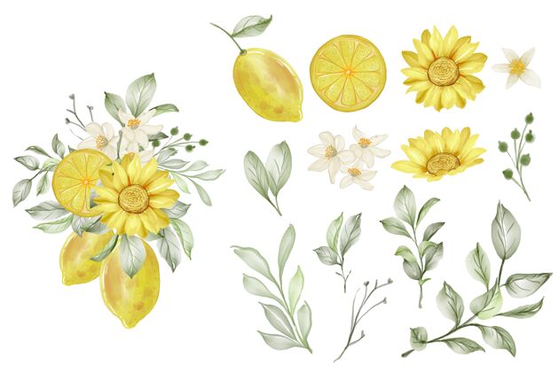 水果一套春天柠檬花和叶子孤立剪贴画花卉花束手绘