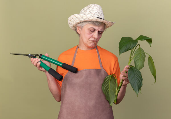 花园失望的上了年纪的女园丁戴着园艺帽拿着园艺剪刀看着橄榄绿上的植物枝女园艺橄榄