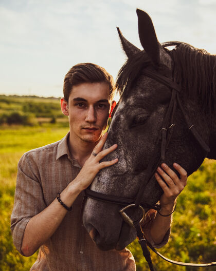 耳朵阳光下的田野里 一只年轻的雄性正在抚摸一匹马肖像草乡村