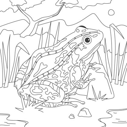 野生动物手绘青蛙上色青蛙画青蛙动物