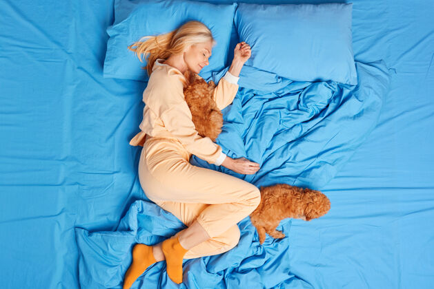 床俯视图：放松的熟睡的女人在床上有健康的午睡姿势 两只小狗穿着睡衣在柔软的睡衣上享受舒适 看到甜蜜的梦人和动物之间的友谊放松卧室舒适