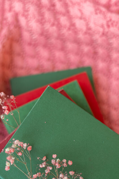 优雅一堆红绿相间的书 粉色温暖的针织毛衣上挂着干花纸知识封闭