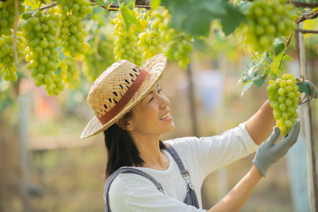 工作快乐的微笑欢快的葡萄园女穿着工作服和农家礼服草帽分支女人特写