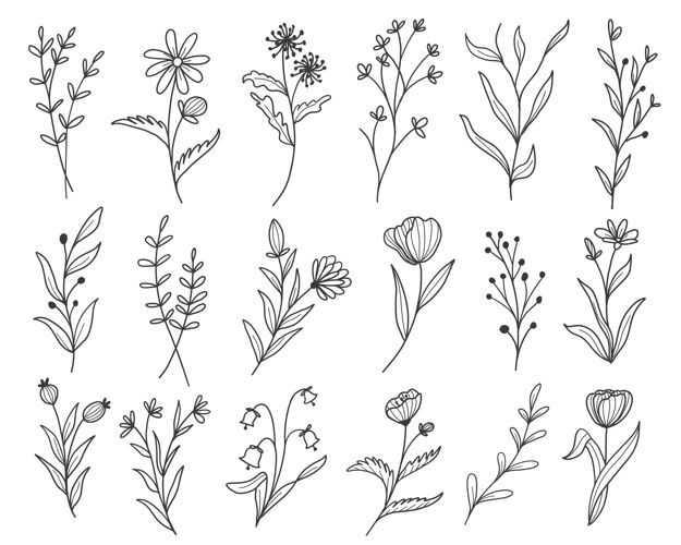 单色一套植物叶子涂鸦野花线条艺术素描树叶元素