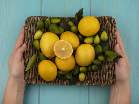 新鲜俯视图中的女性手拿着柳条托盘的新鲜水果 如金盏花和柠檬在蓝色的木墙上女性食物水果