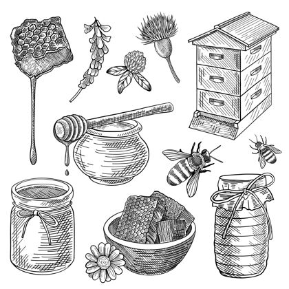 蜂巢蜜蜂 罐子里的蜂蜜 蜂巢 蜂巢 勺子 花 套装手绘素描花卉