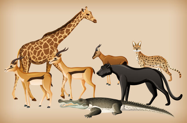 外背景是一群野生动物哺乳动物长颈鹿背景
