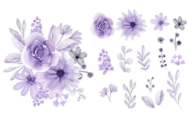 复古一套孤零零的花叶紫柔的水彩画粉彩分支优雅