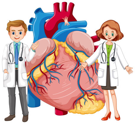 生物学人的心脏有两个医生卡通人物病理学解剖学内科学