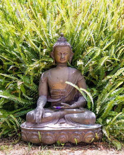 历史佛像放在地上 一株宽大的蕨类植物生长在身影的背后佛教信仰成长