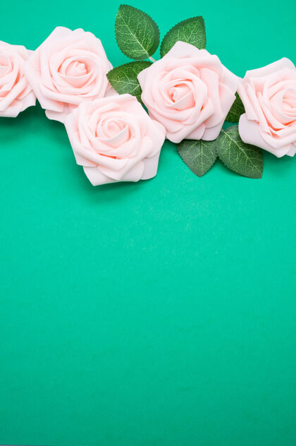 花朵垂直特写镜头粉红色玫瑰隔离在一个绿色的背景与复制空间花朵花朵花瓣