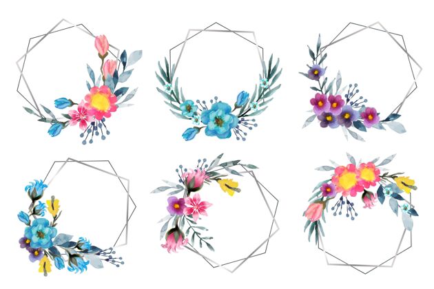 包装手绘水彩花架系列花卉框架收集花卉框架