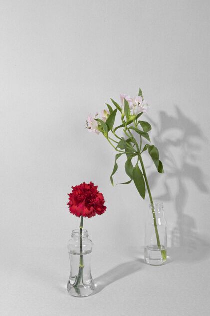 花在桌上的花瓶里开花叶子开花花瓶