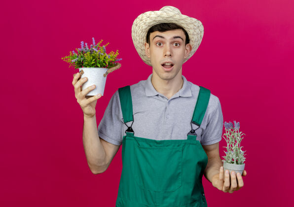 举行惊讶的年轻男园丁戴着园艺帽在花盆里捧着花惊喜粉红色穿