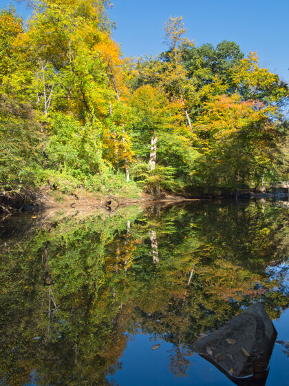 岩石一条河流在森林中流过树木的垂直镜头景观风景冒险