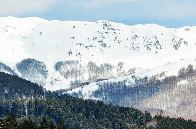 天空在阳光明媚的日子里 高山上有着雪林的冬季景观山霜冻冰冻