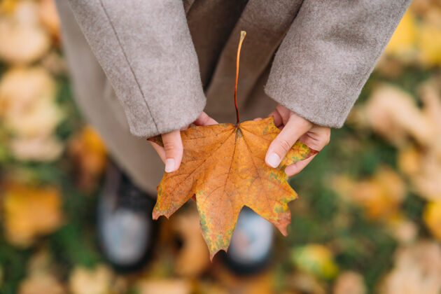 完美秋叶在女孩手中近在咫尺九月十月树