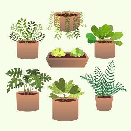 分类手绘室内植物收藏套装盆栽植物手绘