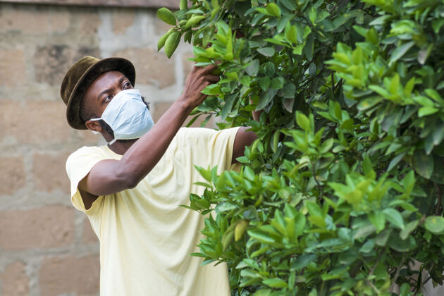 休闲年轻的非洲裔美国男子戴着防护面罩在花园里工作种族医疗保护