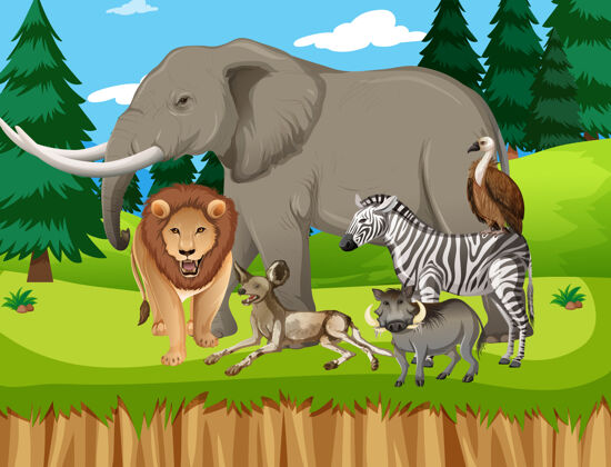 丛林森林里的一群非洲野生动物卡通田野自然