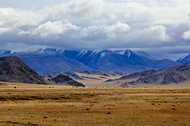 田美丽的蒙古族野生自然风光湖环境野