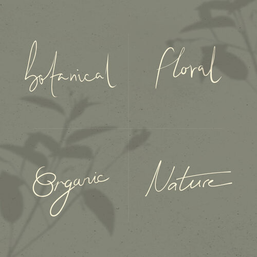 混合自然字在最小的手写排版风格植物学植物白色