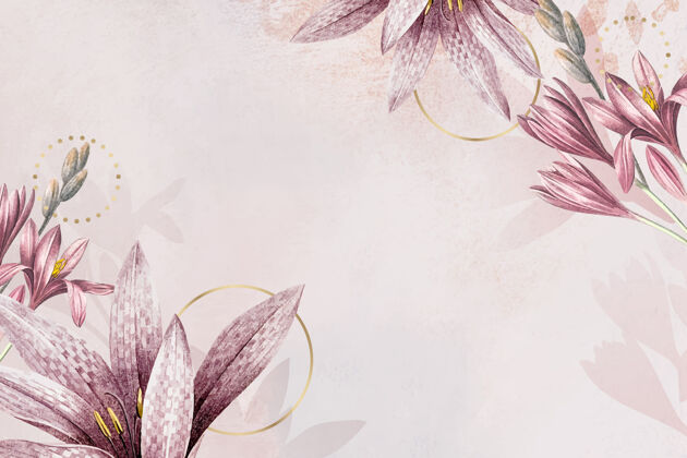 空白空间粉红色的石蒜花图案背景开花植物复制空间