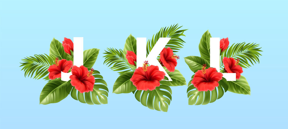 排版被夏天的热带树叶和红色的芙蓉花包围的信字母J木槿