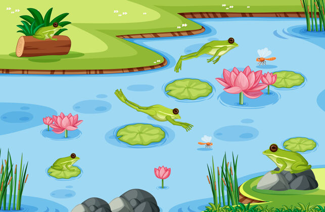 剪贴画池塘里有许多绿色的青蛙绿色颜色莲花