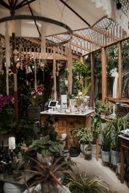 陶器有桌子和植物的树冠房间插花餐厅