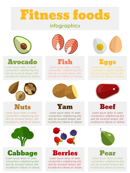 信息图健身健康食品平面风格的信息图鸡蛋食物营养