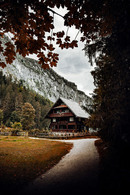 庇护所在白天靠近绿树和山的棕色木屋奥地利自然树