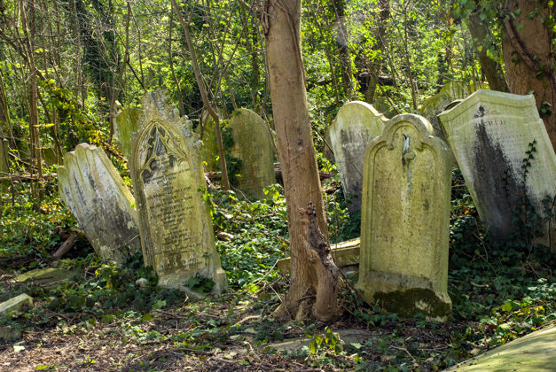 古代英国伦敦尼海德公墓白天的墓碑著名坟墓古老