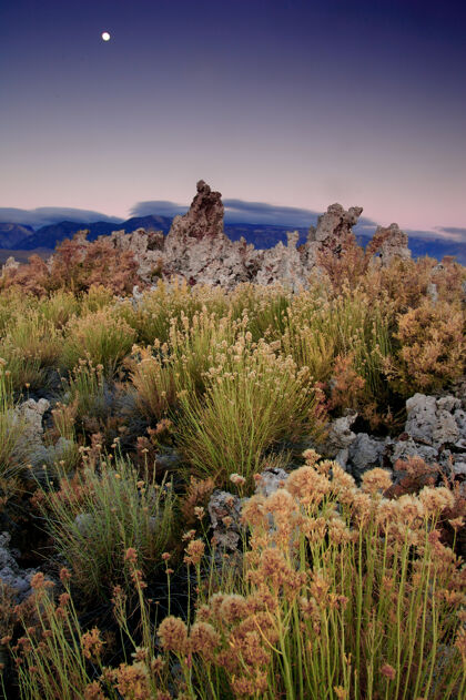 山日落时 山上生长着各种各样的植物山脉岩石山峰