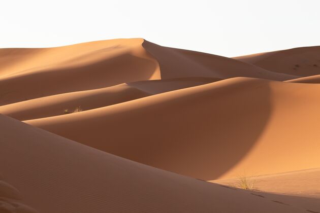 旅游在一个阳光明媚的日子里 沙漠地区沙丘的美丽景色荒野自然炎热