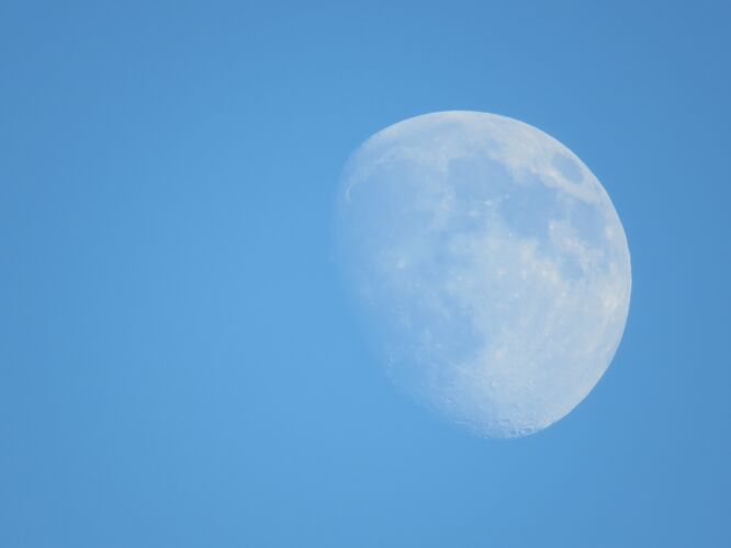 花园月亮在晴朗的蓝天上的美丽镜头星星天文学银河