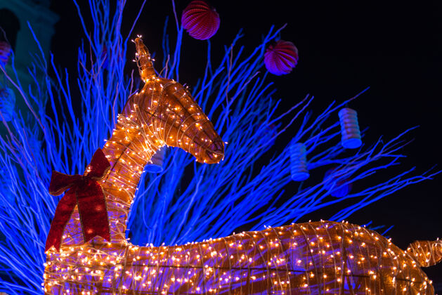 背景装饰驯鹿装置照明与圣诞期间传统季节庆典