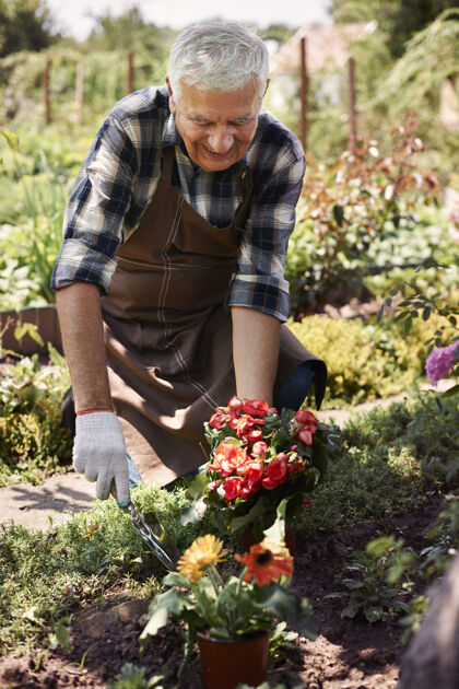 忙碌拿着花在地里干活的老人蹲健康的生活方式候选人