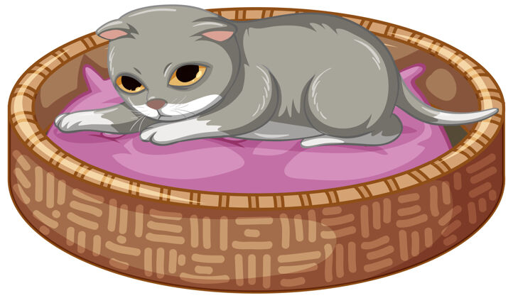 卡通灰色小猫躺在白色背景的床上生活人物小