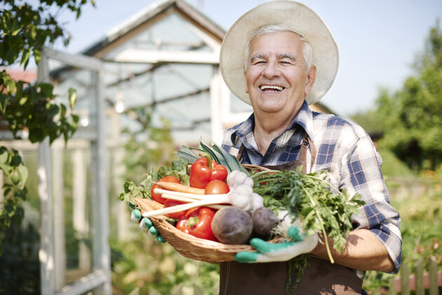 食物一个拿着一箱蔬菜在地里干活的老人西红柿农作物户外