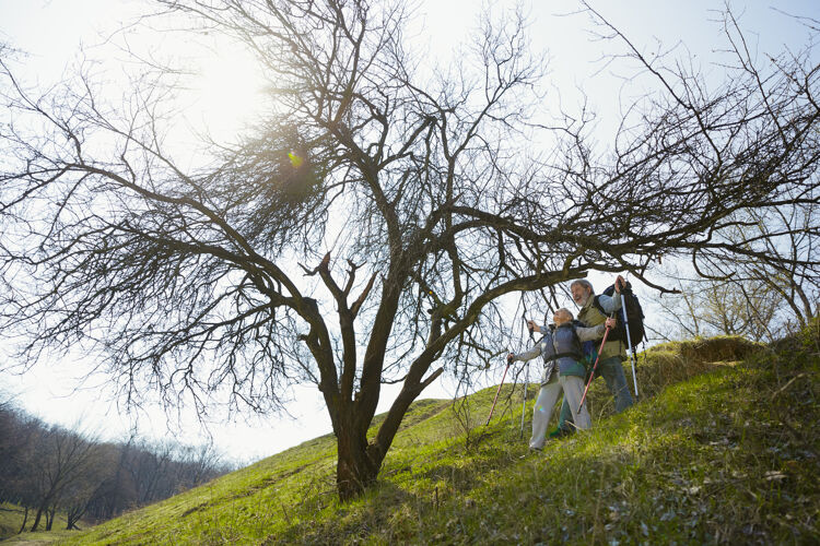散步阳光明媚的日子里 一对穿着旅游装的老人在树旁的绿色草坪上散步老年人自由娱乐