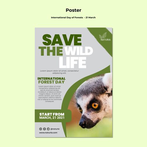 环境国际森林日海报生态国际模板