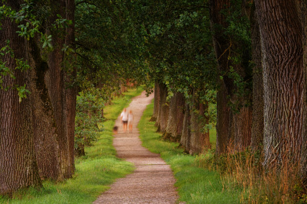 小径两个人在绿叶树旁散步的照片狗风景散步