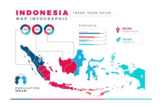 国家平面印尼地图信息图分析平面设计平面
