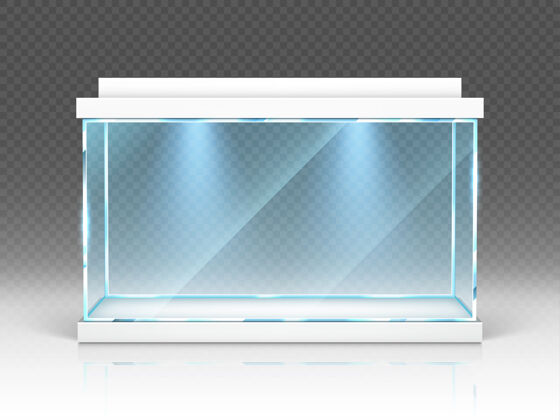塑料水族馆玻璃箱 透明背光源的玻璃容器室内清晰正面