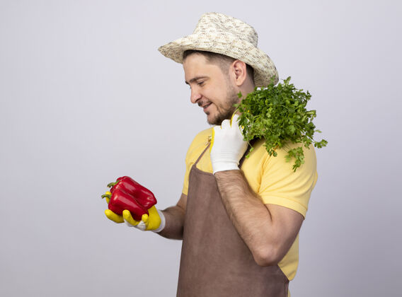 脸年轻的园丁 穿着连体衣 戴着帽子 戴着工作手套 手里拿着红甜椒和新鲜的草药 脸上带着微笑站着胡椒新鲜