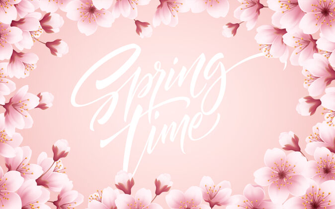春天春天美丽的背景是春天盛开的樱花樱花枝上花瓣飞扬矢量插图eps10植物光叶