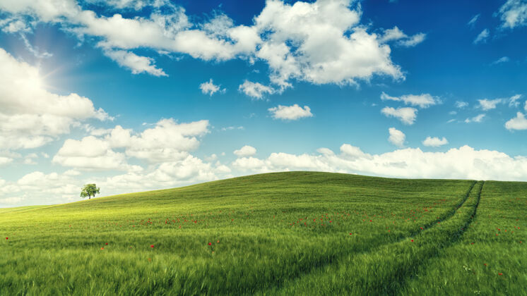 乡村白天蓝天白云下绿草如茵草地植物蔚蓝的天空