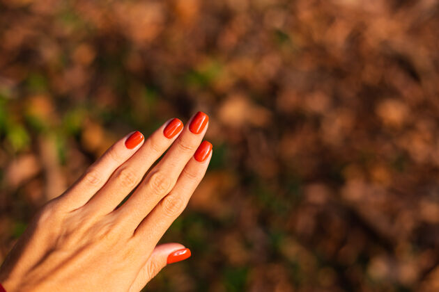 时尚女人的手用橙色的指甲秋叶手指季节