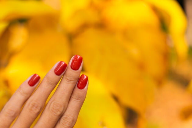 秋叶女人的手用橙色的指甲秋天公园特写
